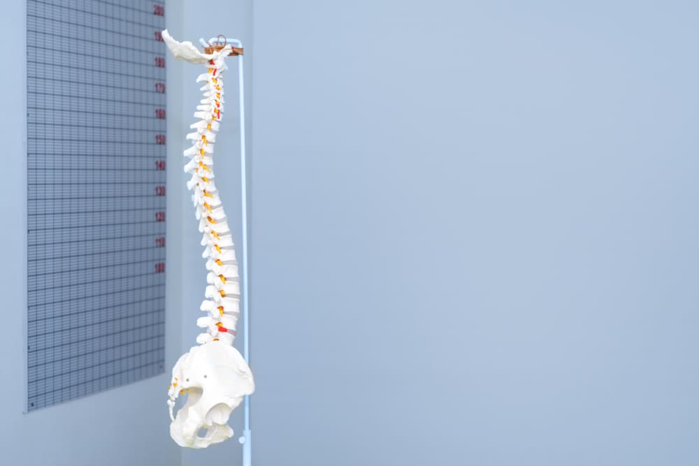 <strong>Cirugía de columna sin gastar mucho en CDMX</strong>