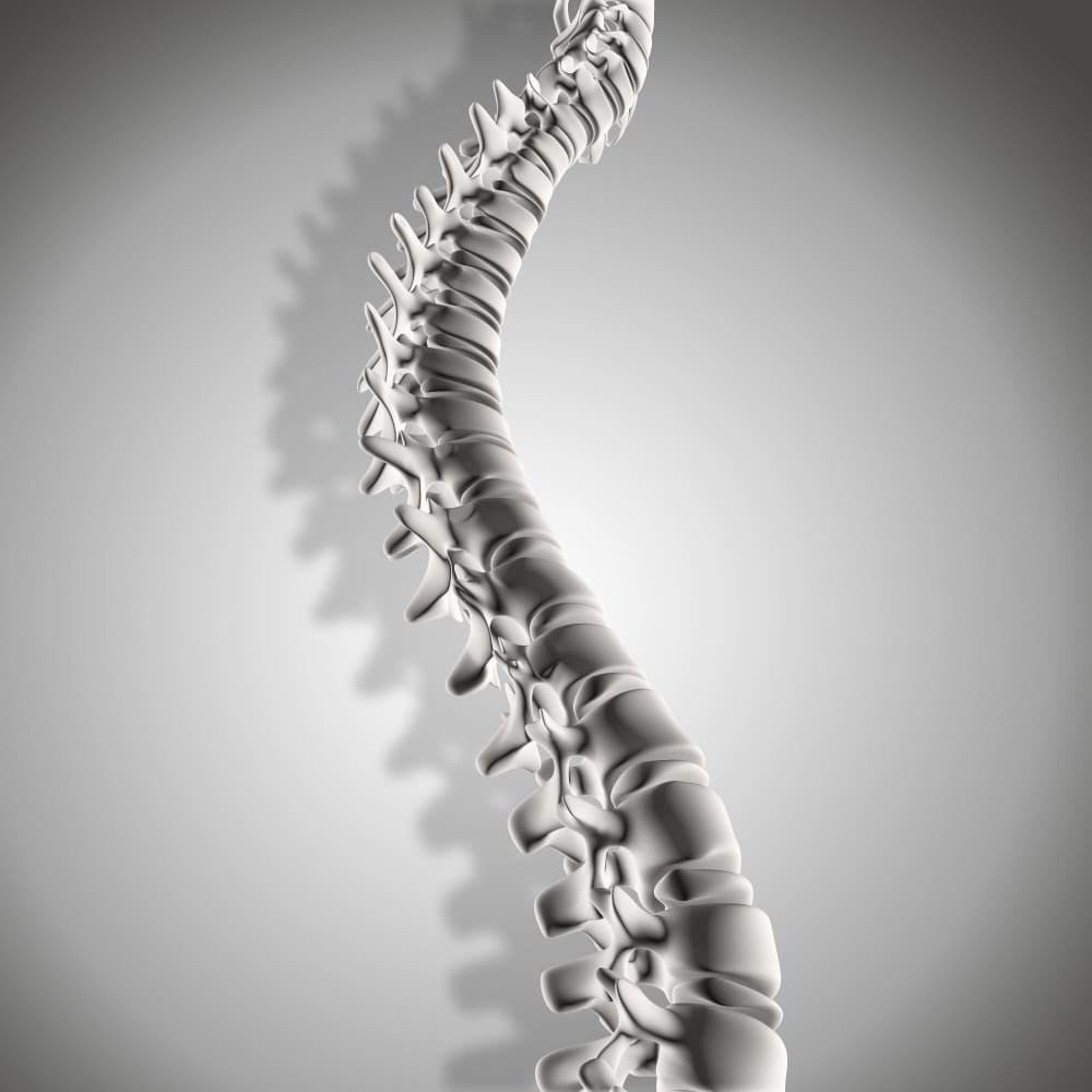 Descubre el <strong>costo cirugía de columna en CDMX</strong>