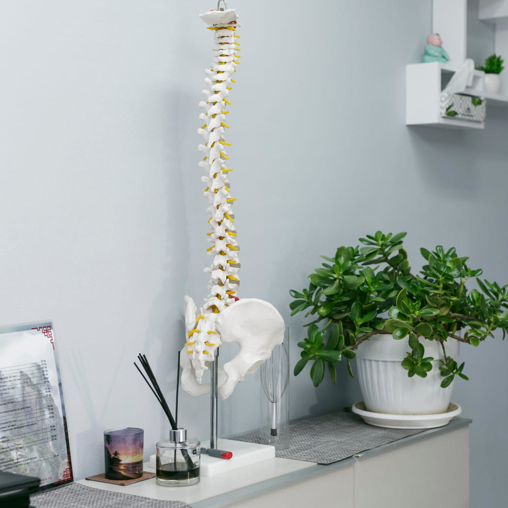 Descubre un <strong>hospital accesible para cirugía de columna en CDMX</strong>