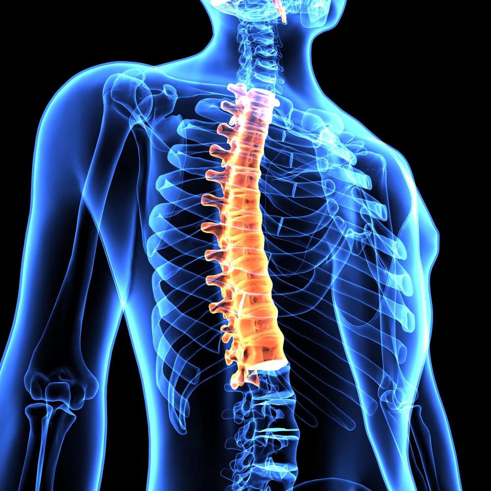 Encuentra un <strong>hospital accesible para escoliosis en CDMX</strong>