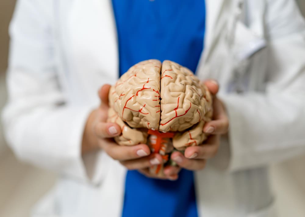 Conoce las <strong>opiniones de neurocirujanos en CDMX</strong>