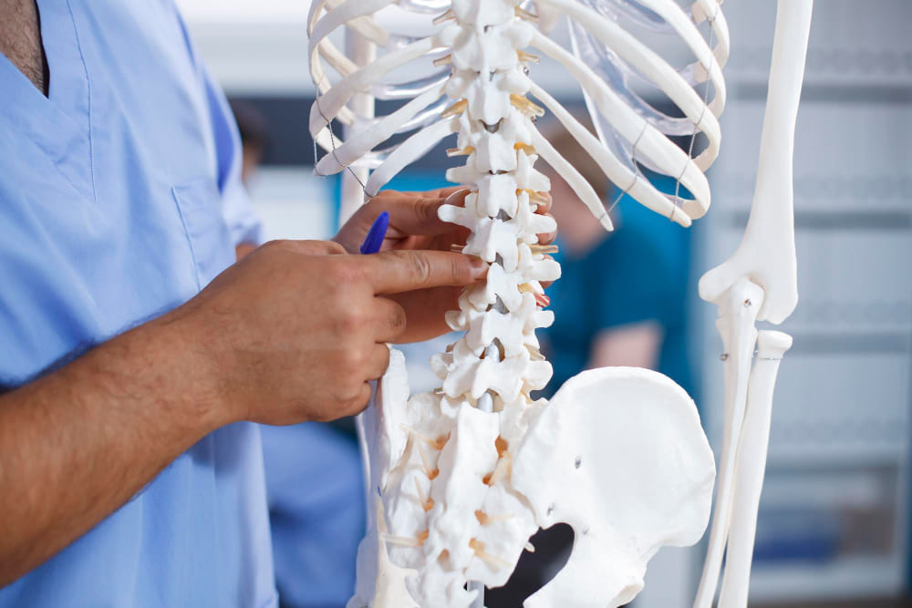 <strong>Tratamientos para escoliosis en CDMX</strong> con resultados efectivos